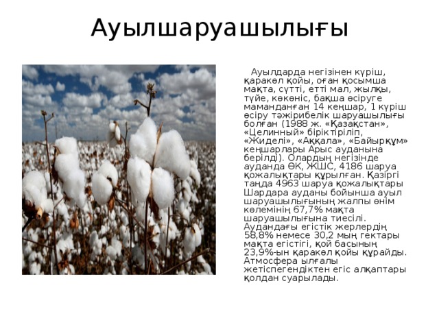 Ауылшаруашылығы    Ауылдарда негізінен күріш, қаракөл қойы, оған қосымша мақта, сүтті, етті мал, жылқы, түйе, көкөніс, бақша өсіруге маманданған 14 кеңшар, 1 күріш өсіру тәжірибелік шаруашылығы болған (1988 ж. «Қазақстан», «Целинный» біріктіріліп, «Жиделі», «Аққала», «Байырқұм» кеңшарлары Арыс ауданына берілді). Олардың негізінде ауданда ӨК, ЖШС, 4186 шаруа қожалықтары құрылған. Қазіргі таңда 4963 шаруа қожалықтары Шардара ауданы бойынша ауыл шаруашылығының жалпы өнім көлемінің 67,7% мақта шаруашылығына тиесілі. Аудандағы егістік жерлердің 58,8% немесе 30,2 мың гектары мақта егістігі, қой басының 23,9%-ын қаракөл қойы құрайды. Атмосфера ылғалы жетіспегендіктен егіс алқаптары қолдан суарылады. 