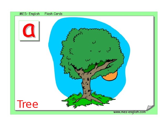 Tree 