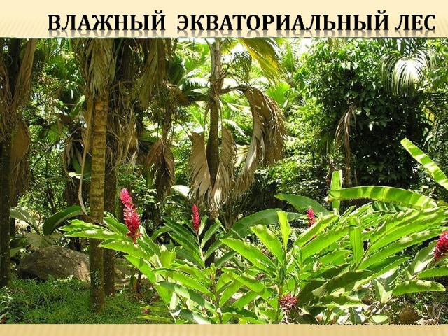 МБОУ СОШ № 33 Рыбина Л.Л.