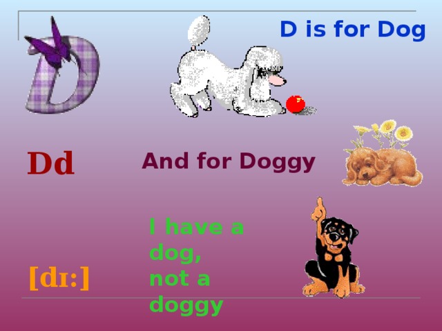D is for Dog     Dd   [dɪ:] And for Doggy I have a dog, not a doggy 