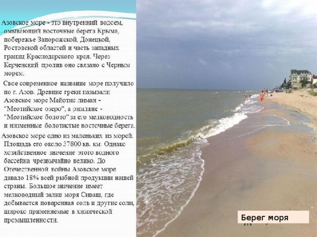 Берег моря 