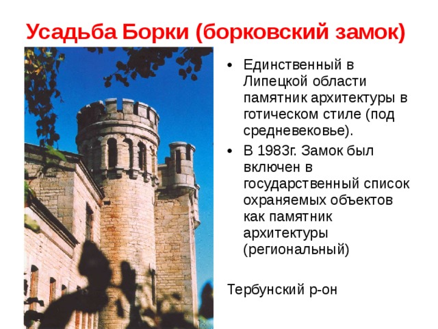 Усадьба Борки (борковский замок) Единственный в Липецкой области памятник архитектуры в готическом стиле (под средневековье). В 1983г. Замок был включен в государственный список охраняемых объектов как памятник архитектуры (региональный)  Тербунский р-он 