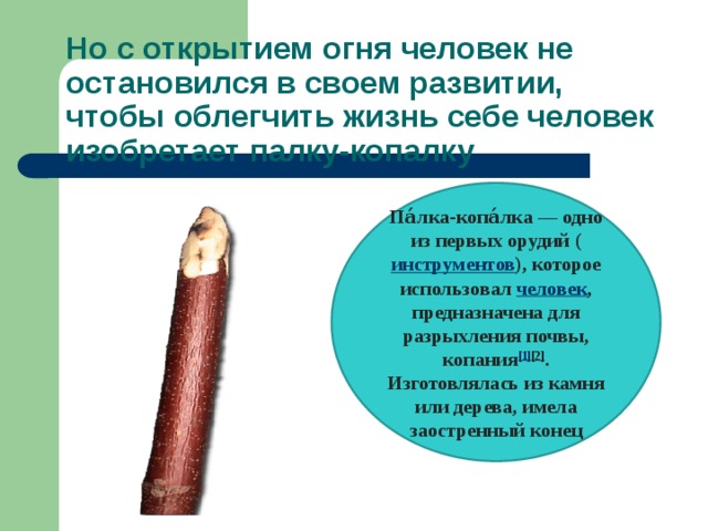 Но с открытием огня человек не остановился в своем развитии, чтобы облегчить жизнь себе человек изобретает палку-копалку Па́лка-копа́лка — одно из первых орудий ( инструментов ), которое использовал  человек , предназначена для разрыхления почвы, копания [1] [2] . Изготовлялась из камня или дерева, имела заостренный конец 