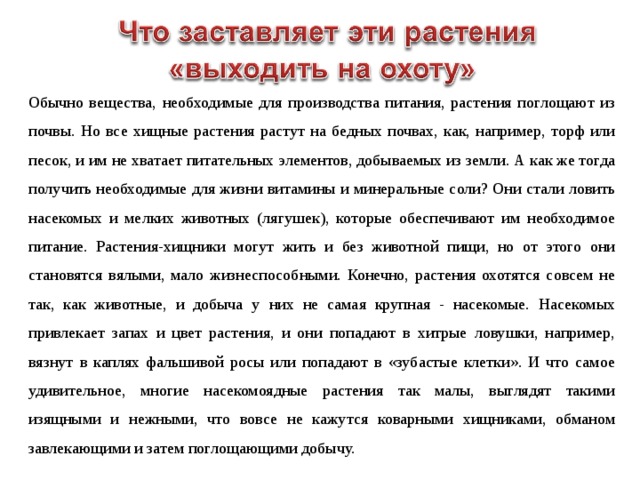 Обычно вещества, необходимые для производства питания, растения поглощают из почвы. Но все хищные растения растут на бедных почвах, как, например, торф или песок, и им не хватает питательных элементов, добываемых из земли. А как же тогда получить необходимые для жизни витамины и минеральные соли? Они стали ловить насекомых и мелких животных (лягушек), которые обеспечивают им необходимое питание. Растения-хищники могут жить и без животной пищи, но от этого они становятся вялыми, мало жизнеспособными. Конечно, растения охотятся совсем не так, как животные, и добыча у них не самая крупная - насекомые. Насекомых привлекает запах и цвет растения, и они попадают в хитрые ловушки, например, вязнут в каплях фальшивой росы или попадают в «зубастые клетки». И что самое удивительное, многие насекомоядные растения так малы, выглядят такими изящными и нежными, что вовсе не кажутся коварными хищниками, обманом завлекающими и затем поглощающими добычу. 