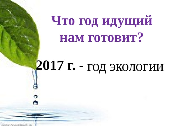 Что год идущий нам готовит? 2017 г. -  год экологии 
