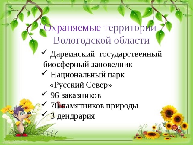 Охраняемые территории Вологодской области Дарвинский государственный  биосферный заповедник Национальный парк  «Русский Север» 96 заказников 78 памятников природы 3 дендрария 