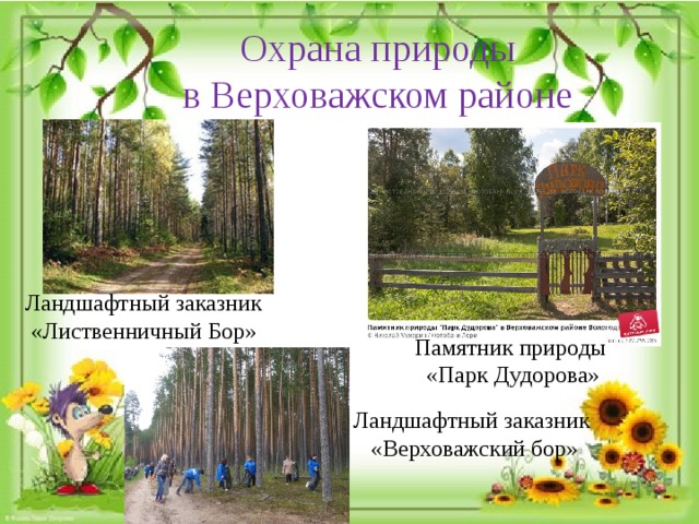 Охрана природы в Верховажском районе Ландшафтный заказник  «Лиственничный Бор» Памятник природы «Парк Дудорова» Ландшафтный заказник «Верховажский бор» 