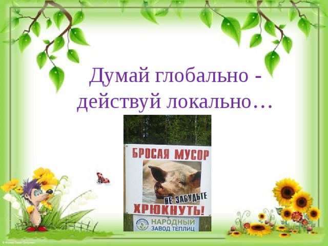Думай глобально - действуй локально… 