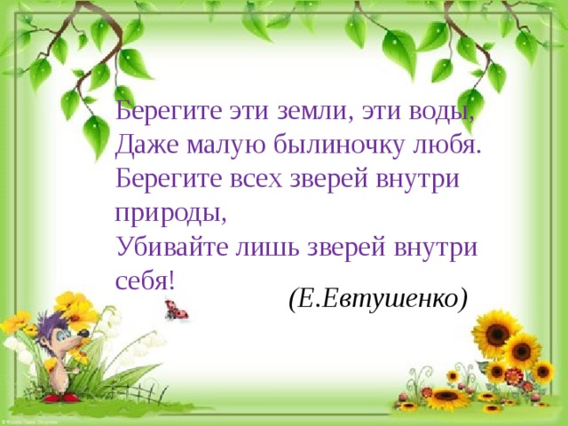 Берегите эти земли, эти воды, Даже малую былиночку любя. Берегите всех зверей внутри природы, Убивайте лишь зверей внутри себя! (Е.Евтушенко) 