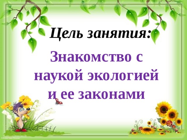 Цель занятия: Знакомство с наукой экологией и ее законами 