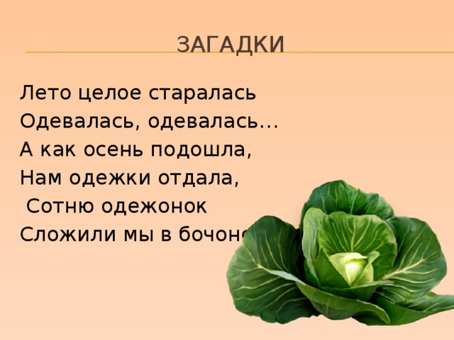 Загадки Лето целое старалась Одевалась, одевалась… А как осень подошла, Нам одежки отдала,  Сотню одежонок Сложили мы в бочонок. 