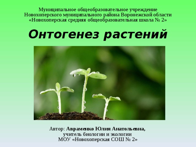 Муниципальное общеобразовательное учреждение Новохоперского муниципального района Воронежской области «Новохоперская средняя общеобразовательная школа № 2» Онтогенез растений Автор: Авраменко Юлия Анатольевна, учитель биологии и экологии МОУ «Новохоперская СОШ № 2» 