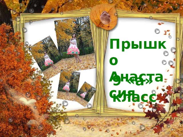 Прышко Анастасия 9 «а» класс 