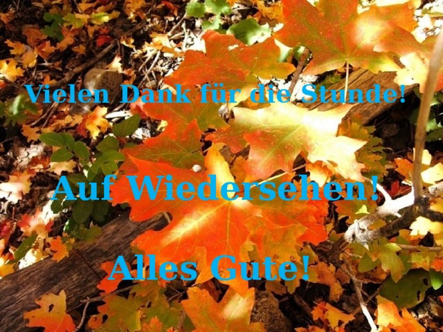 Vielen Dank für die Stunde!   Auf Wiedersehen!  Alles Gute! 