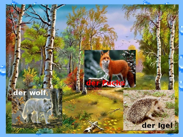 der Fuchs der wolf der Igel 
