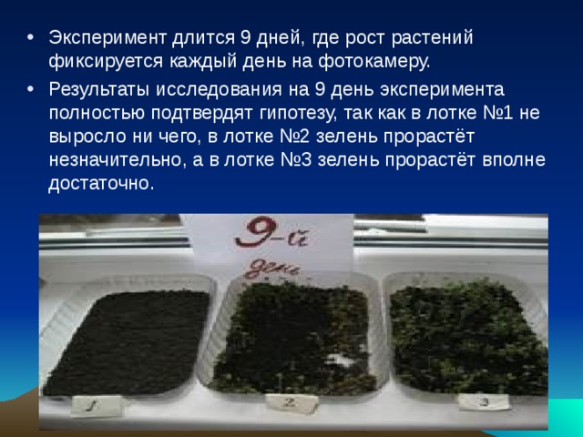 Эксперимент длится 9 дней, где рост растений фиксируется каждый день на фотокамеру. Результаты исследования на 9 день эксперимента полностью подтвердят гипотезу, так как в лотке №1 не выросло ни чего, в лотке №2 зелень прорастёт незначительно, а в лотке №3 зелень прорастёт вполне достаточно.  