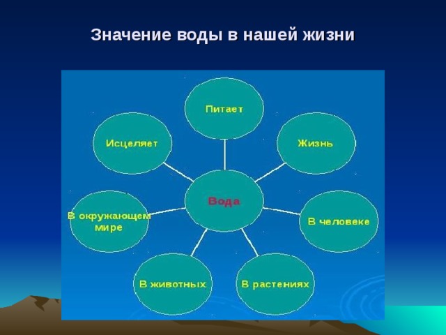  Значение воды в нашей жизни   