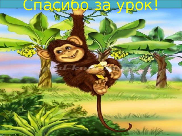 Спасибо за урок! 