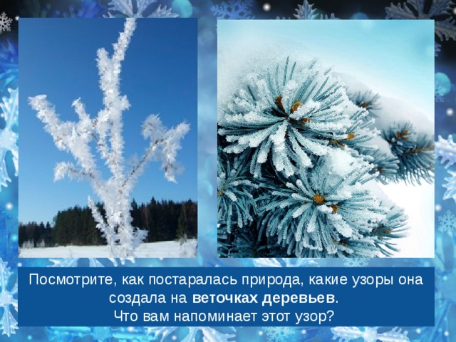 Посмотрите, как постаралась природа, какие узоры она создала на  веточках деревьев . Что вам напоминает этот узор?  
