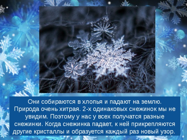 Они собираются в хлопья и падают на землю. Природа очень хитрая. 2-х одинаковых снежинок мы не увидим. Поэтому у нас у всех получатся разные снежинки. Когда снежинка падает, к ней прикрепляются другие кристаллы и образуется каждый раз новый узор. 