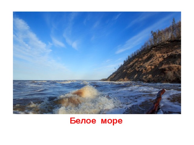  Белое море 