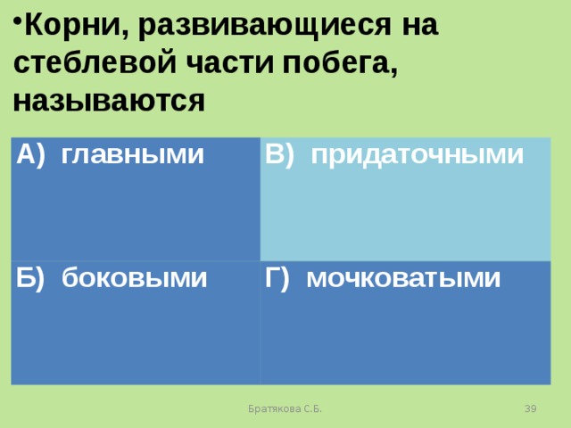 Корни, развивающиеся на стеблевой части побега, называются А) главными В) придаточными Б) боковыми Г) мочковатыми Братякова С.Б.  