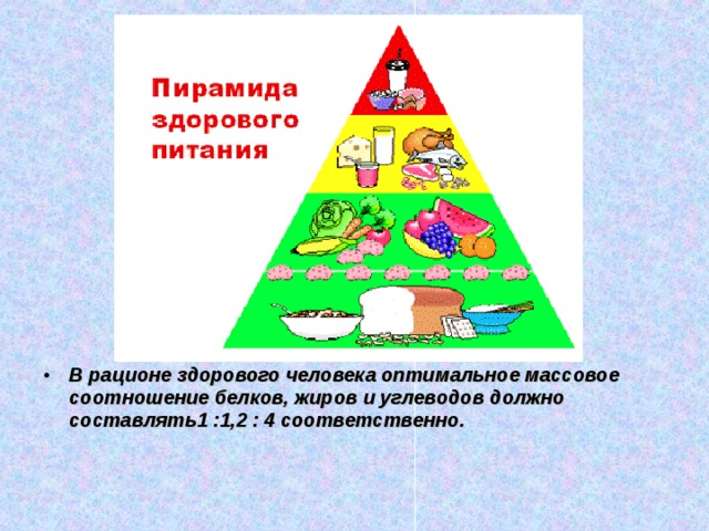 В рационе здорового человека оптимальное массовое соотношение белков, жиров и углеводов должно составлять1 :1,2 : 4 соответственно. 