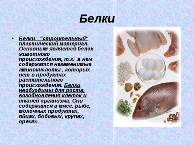 Белки Белки - 