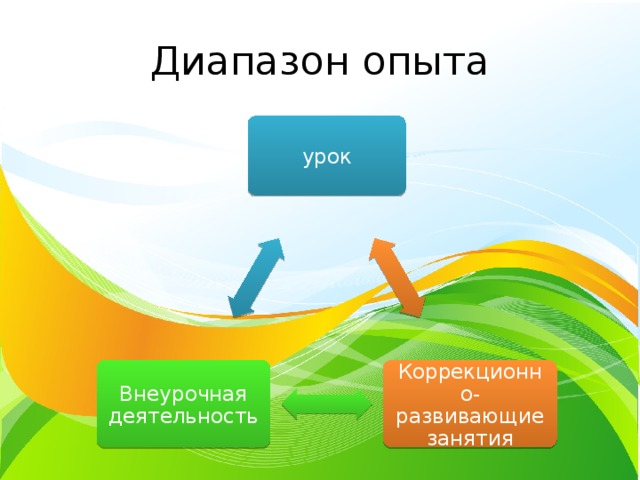 Диапазон опыта урок Внеурочная деятельность Коррекционно-развивающие занятия 
