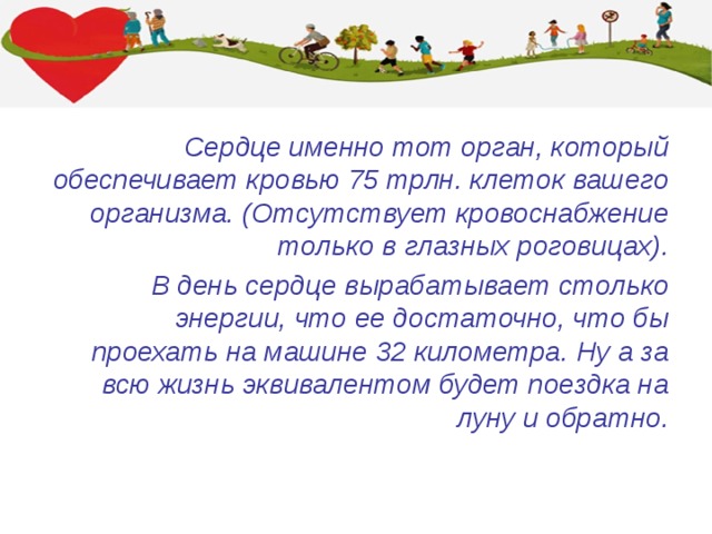 Сердце именно тот орган, который обеспечивает кровью 75 трлн. клеток вашего организма. (Отсутствует кровоснабжение только в глазных роговицах). В день сердце вырабатывает столько энергии, что ее достаточно, что бы проехать на машине 32 километра. Ну а за всю жизнь эквивалентом будет поездка на луну и обратно. 