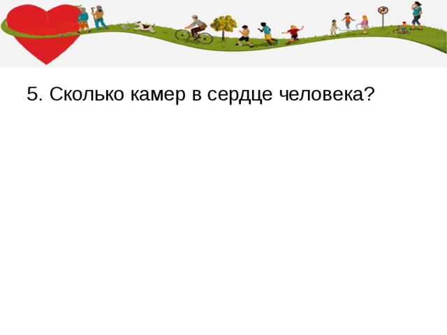5. Сколько камер в сердце человека? 