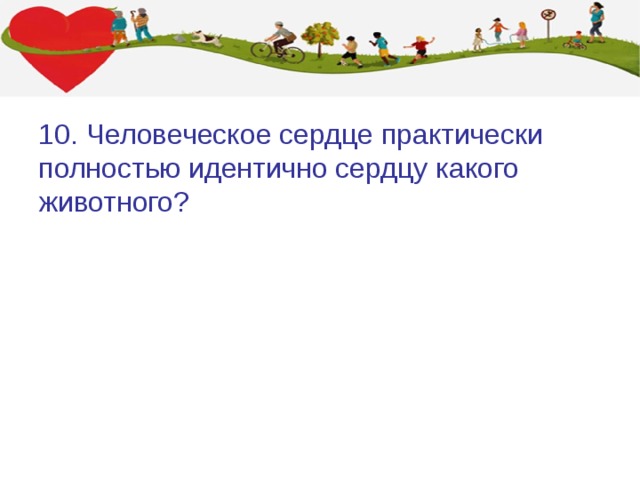 10. Человеческое сердце практически полностью идентично сердцу какого животного? 