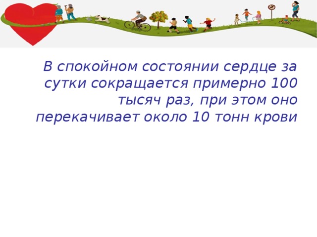 В спокойном состоянии сердце за сутки сокращается примерно 100 тысяч раз, при этом оно перекачивает около 10 тонн крови 