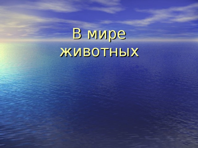 В мире животных 