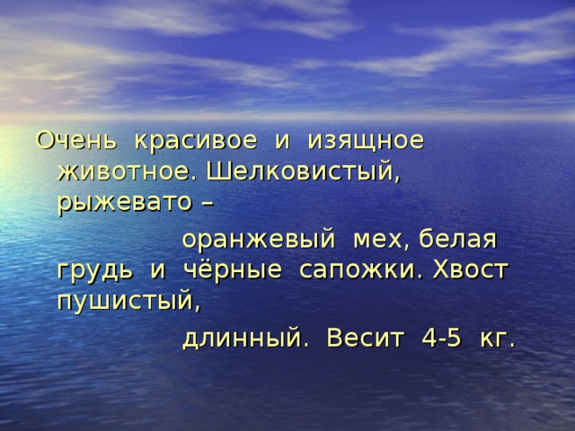 Очень красивое и изящное животное. Шелковистый, рыжевато –  оранжевый мех, белая грудь и чёрные сапожки. Хвост пушистый,  длинный. Весит 4-5 кг. 