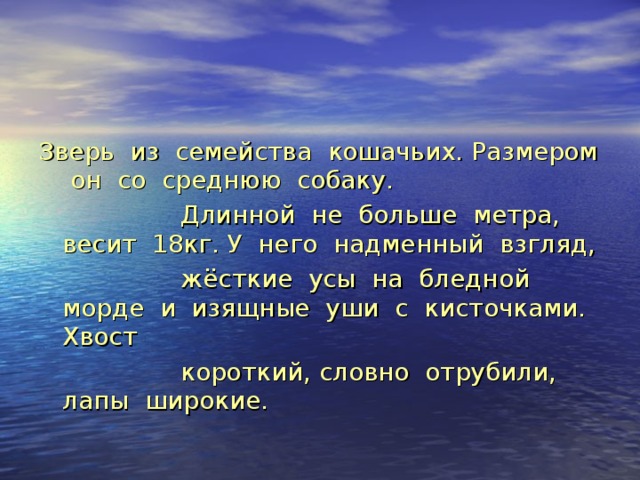 Зверь из семейства кошачьих. Размером он со среднюю собаку.  Длинной не больше метра, весит 18кг. У него надменный взгляд,  жёсткие усы на бледной морде и изящные уши с кисточками. Хвост  короткий, словно отрубили, лапы широкие. 