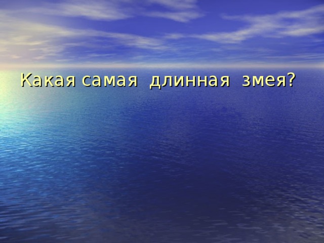 Какая самая длинная змея? 