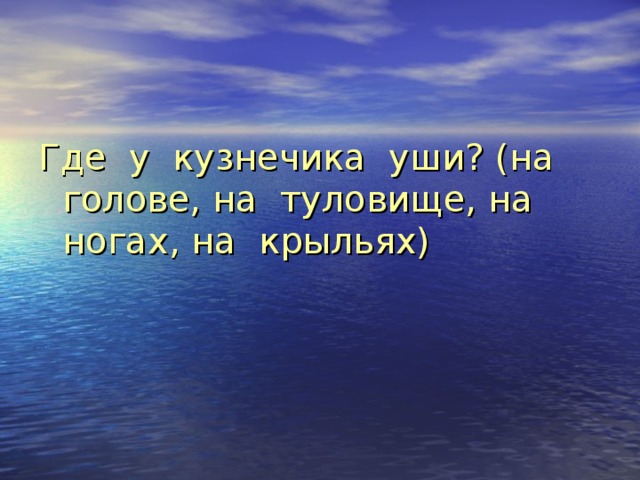 Где у кузнечика уши? (на голове, на туловище, на ногах, на крыльях) 