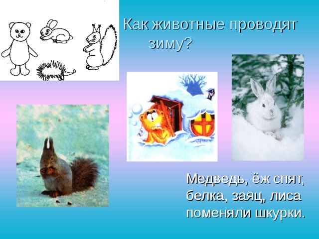  Как животные проводят зиму?  Медведь, ёж спят, белка, заяц, лиса поменяли шкурки. 