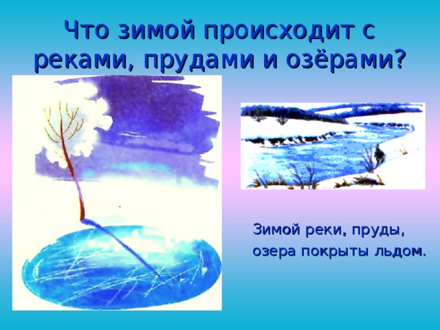Что зимой происходит с реками, прудами и озёрами? Зимой реки, пруды, озера покрыты льдом . 