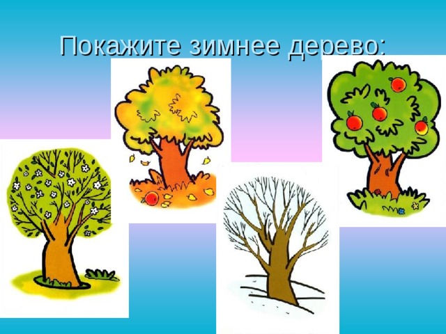 Покажите зимнее дерево: 