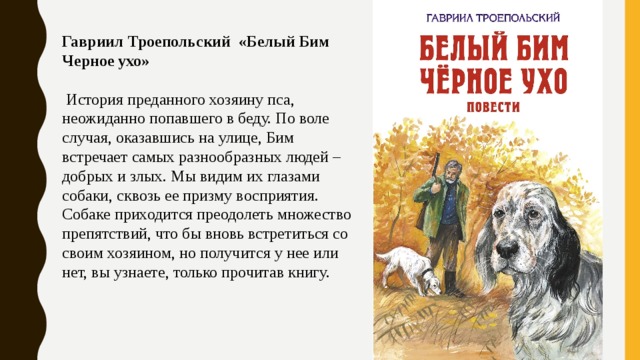 Гавриил Троепольский «Белый Бим Черное ухо»   История преданного хозяину пса, неожиданно попавшего в беду. По воле случая, оказавшись на улице, Бим встречает самых разнообразных людей – добрых и злых. Мы видим их глазами собаки, сквозь ее призму восприятия. Собаке приходится преодолеть множество препятствий, что бы вновь встретиться со своим хозяином, но получится у нее или нет, вы узнаете, только прочитав книгу. 