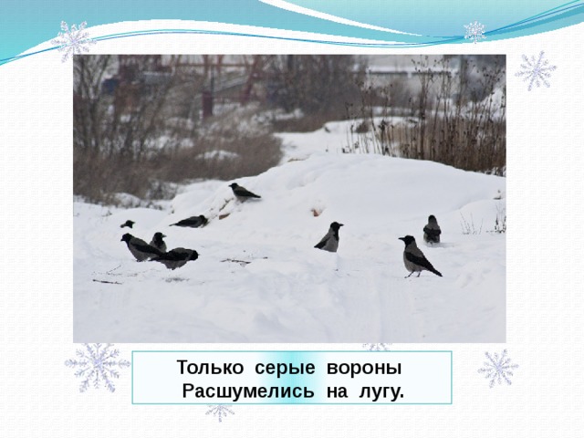  Только серые вороны  Расшумелись на лугу. 