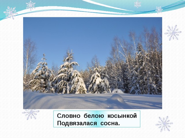  Словно белою косынкой  Подвязалася сосна. 