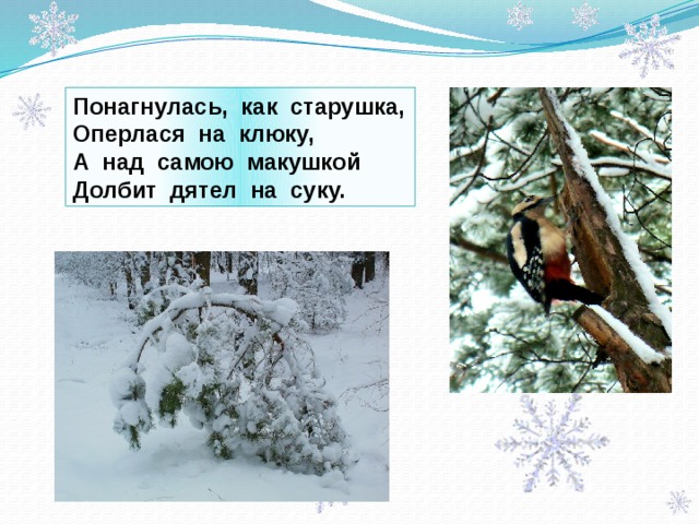 Понагнулась, как старушка, Оперлася на клюку, А над самою макушкой Долбит дятел на суку. 