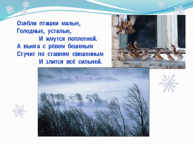 Озябли пташки малые, Голодные, усталые,  И жмутся поплотней. А вьюга с рёвом бешеным Стучит по ставням свешенным  И злится всё сильней. 