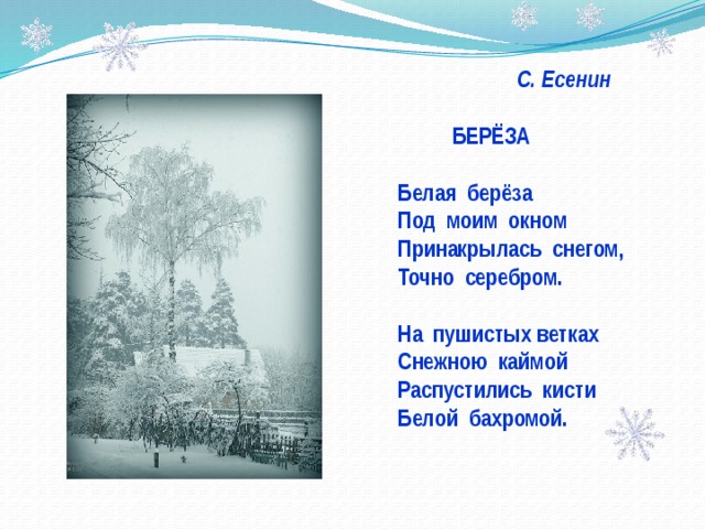  С. Есенин   БЕРЁЗА  Белая берёза Под моим окном Принакрылась снегом, Точно серебром.  На пушистых ветках Снежною каймой Распустились кисти Белой бахромой.  