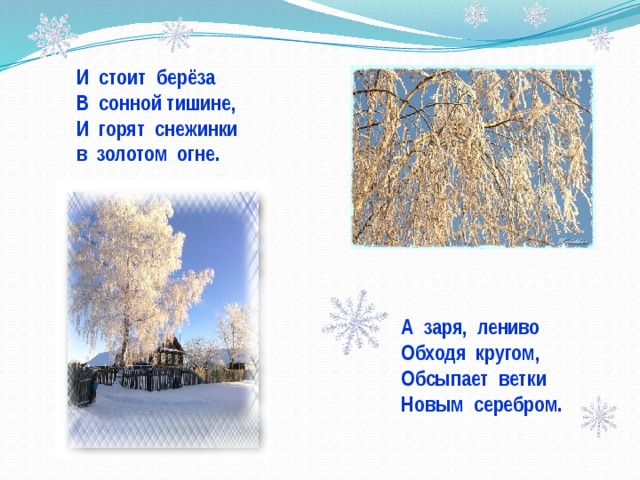 И стоит берёза В сонной тишине, И горят снежинки в золотом огне. А заря, лениво Обходя кругом, Обсыпает ветки Новым серебром. 