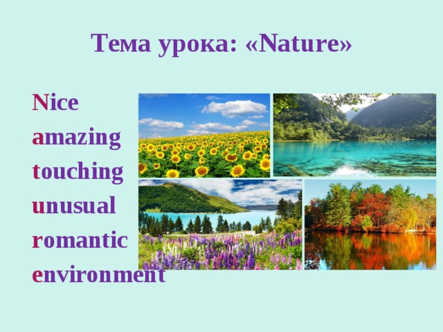 Тема урока: «Nature» N ice a mazing t ouching u nusual r omantic e nvironment  