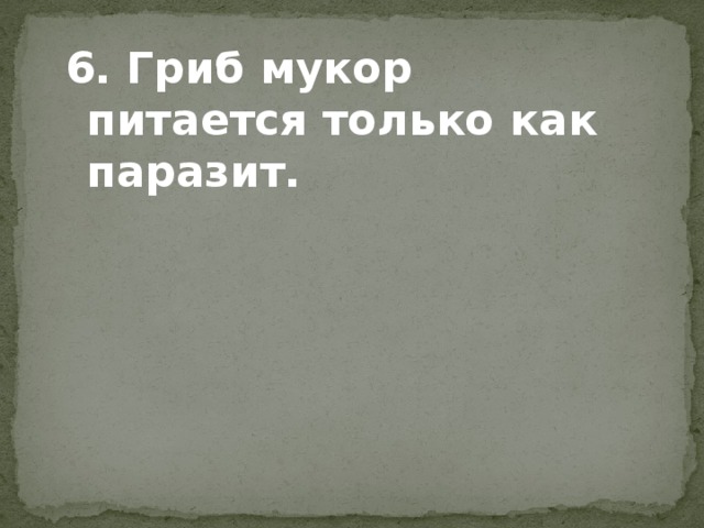 6. Гриб мукор питается только как паразит. 